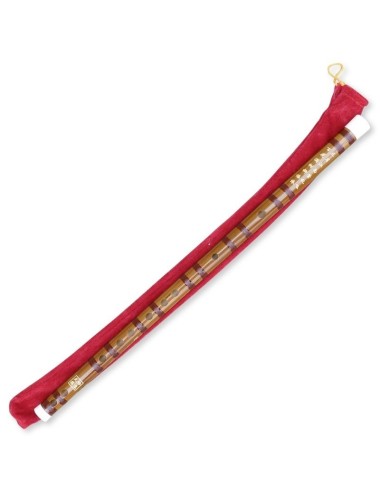 Dizide bambú (flauta china)