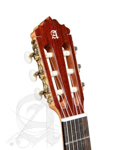 Guitarra 6 Olivo