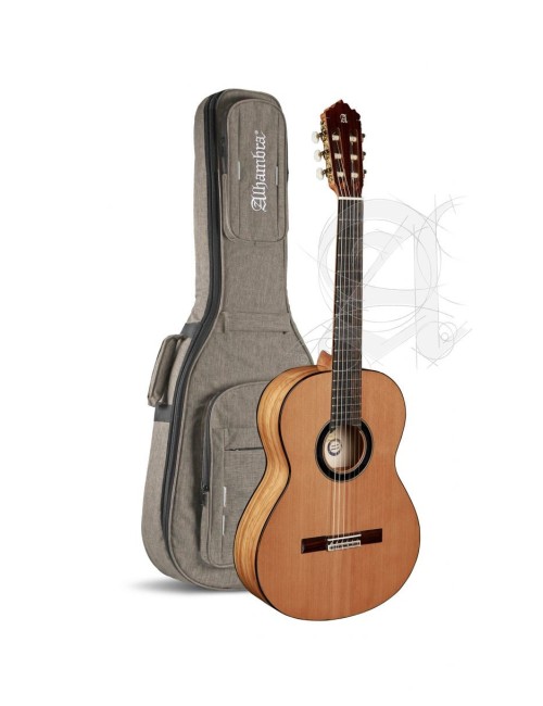 Guitarra 6 Olivo